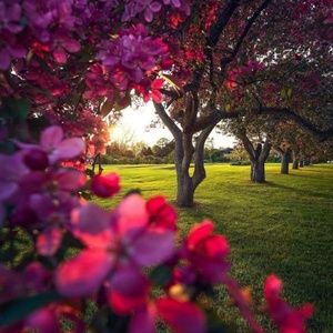 Meet your Posher, Ana